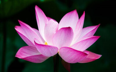 Healing is Still Happening